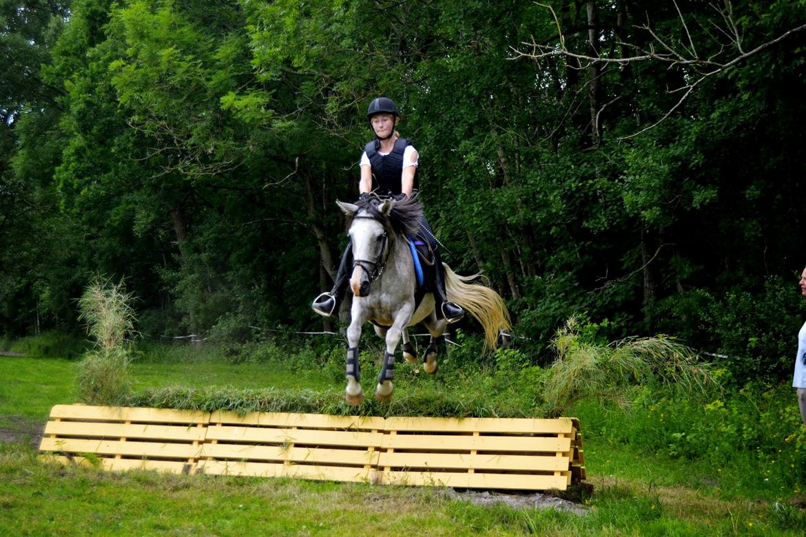 Anden særlig race Asgårds Frigg<3 - Vi kan alt når vi er to!!<3 billede 16