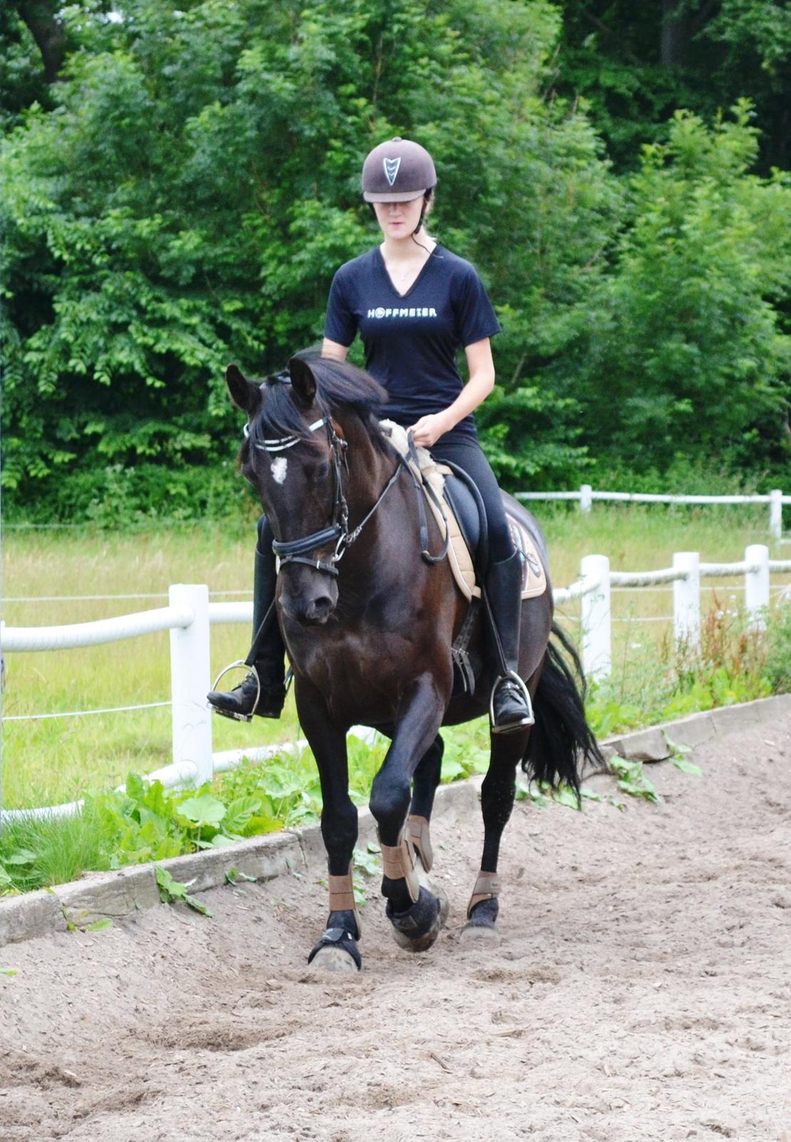 Anden særlig race Lady Gaga billede 11