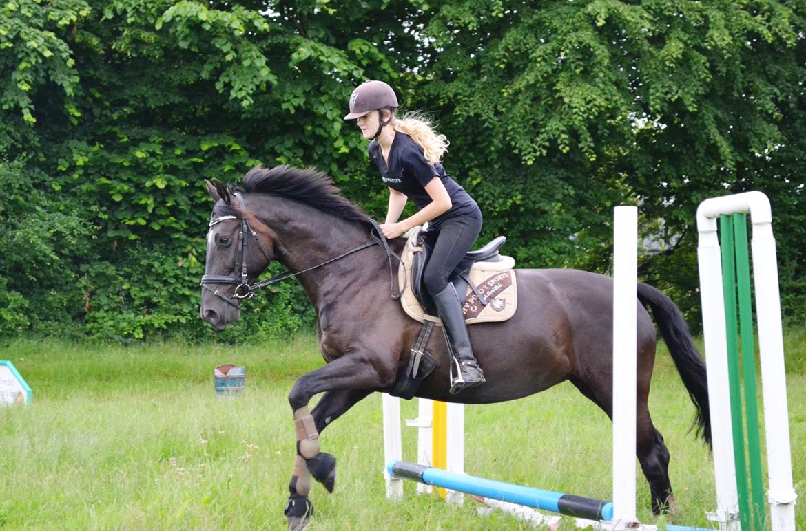 Anden særlig race Lady Gaga billede 17