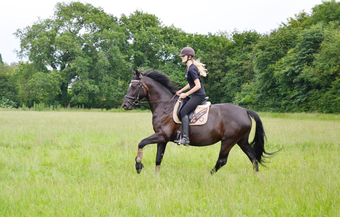 Anden særlig race Lady Gaga billede 18