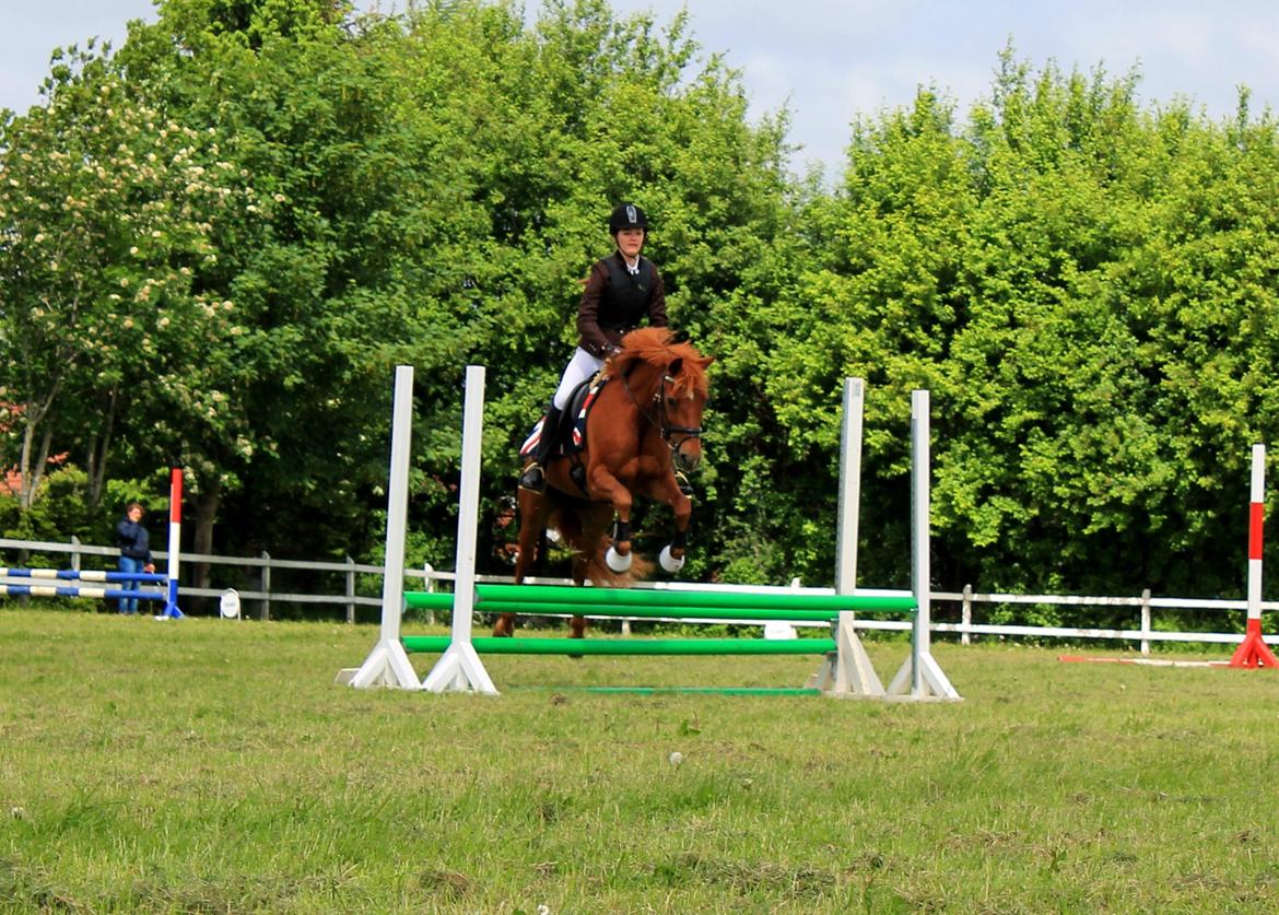 Anden særlig race Ponygården's Megara - Den helt igennem fantastiske pony i verden på banen i en LE :-* Elsker dig virkelig!! <3 billede 14