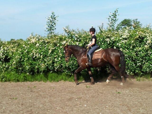 Oldenborg Etasja af Hvarre billede 3