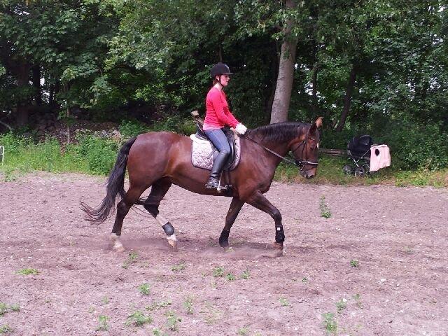 Oldenborg Etasja af Hvarre billede 8