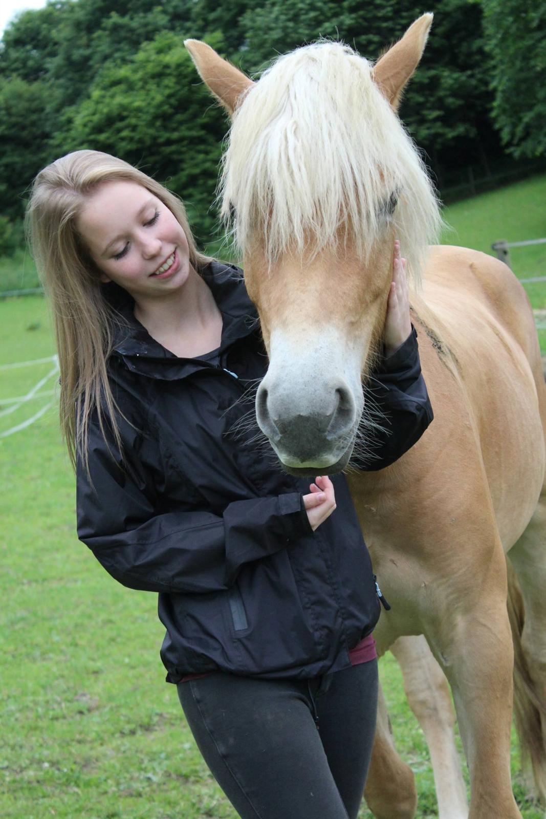 Tyroler Haflinger Fannie af Stenbek - Fold-hygge <3 billede 15