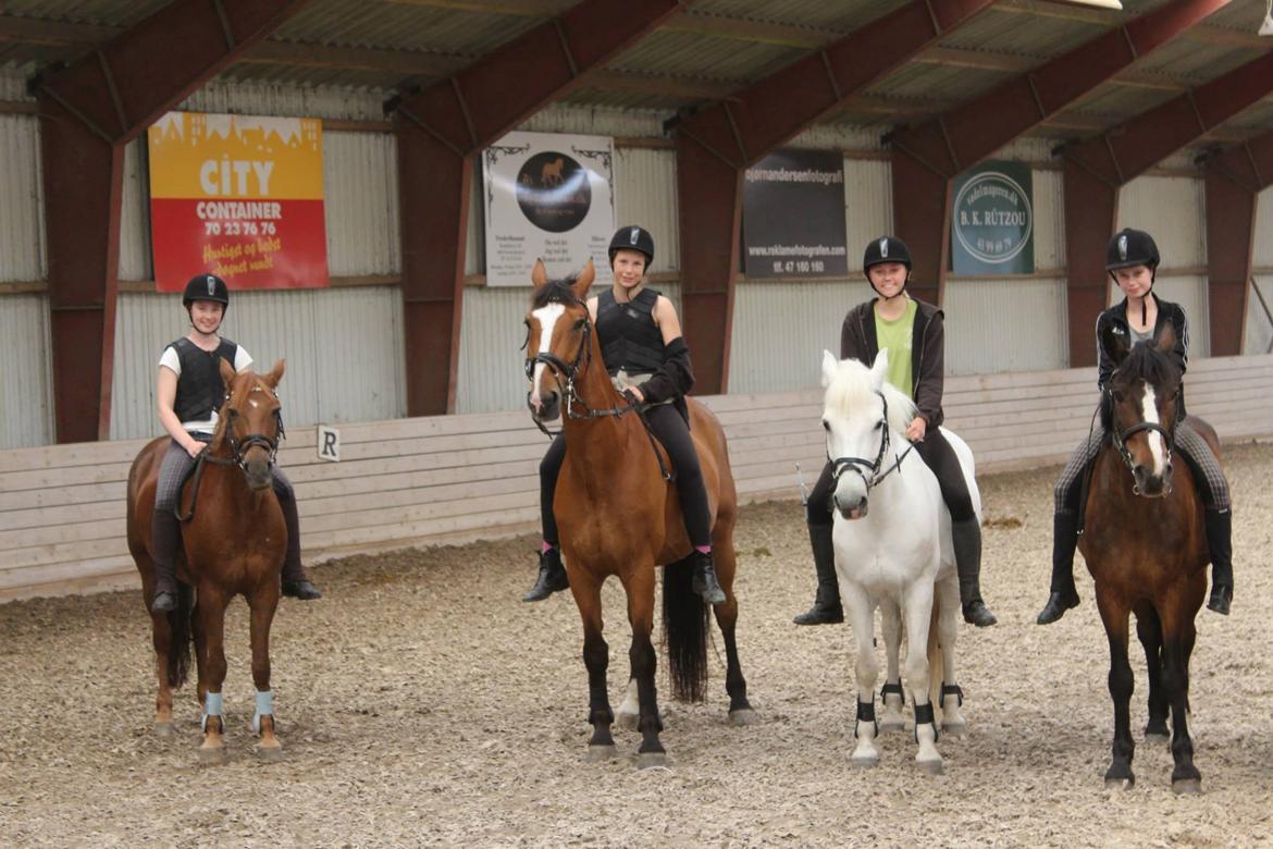 Holstener Armageddon - Uden saddel med de sødeste!<3 billede 9