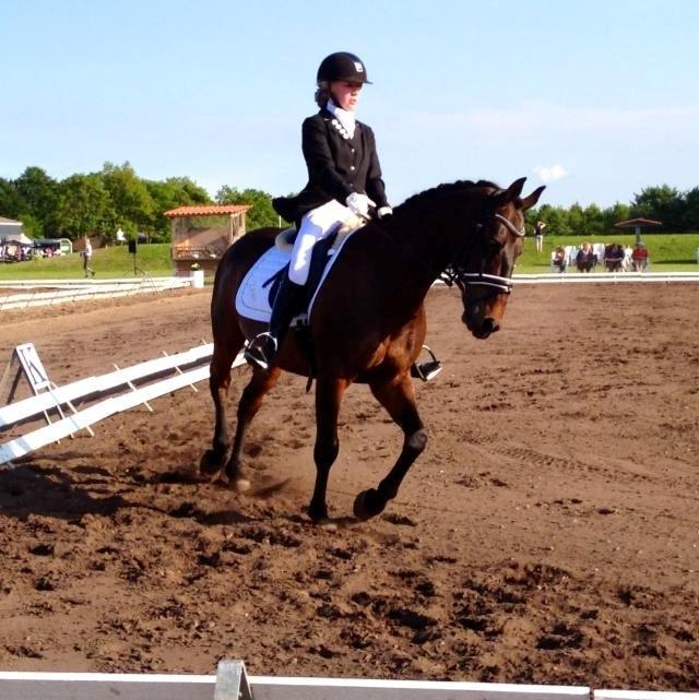 Anden særlig race Zeus<3 billede 15