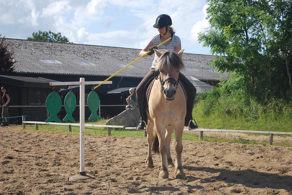 Fjordhest Farmens Elliot - Ponygames på bakkkegård ridelejr. billede 5
