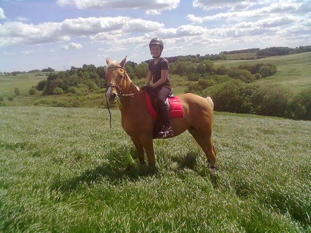 Tysk Sportspony Lavinia<3<3 - ude at ride tur med min bedsteveninde silje<3 billede 18