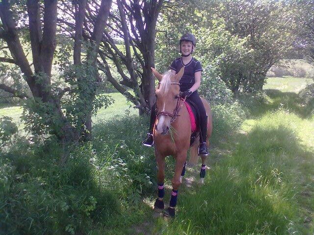 Tysk Sportspony Lavinia<3<3 - skovtur med de dejlige! <3 billede 19