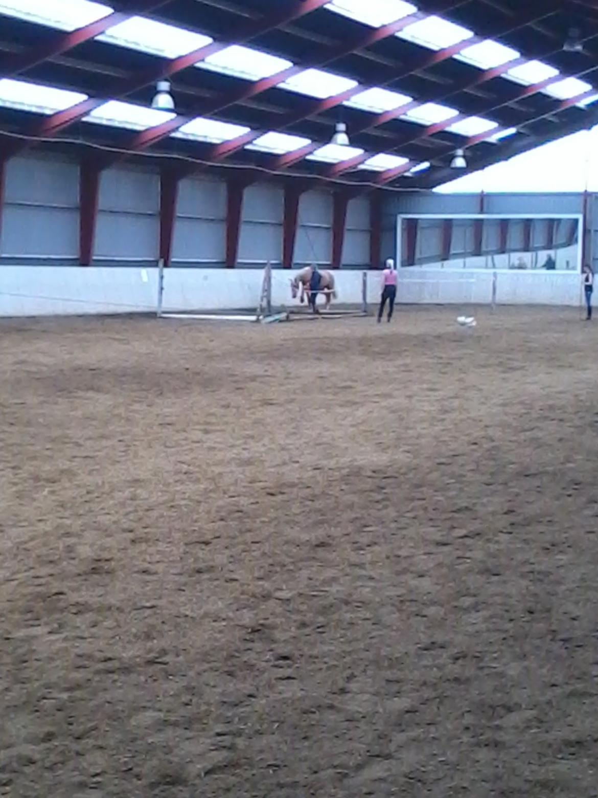 Tysk Sportspony Lavinia<3<3 - varmer op til løsspringning billede 20