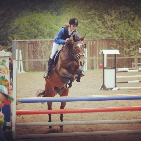 Zangersheide Sally Z billede 16