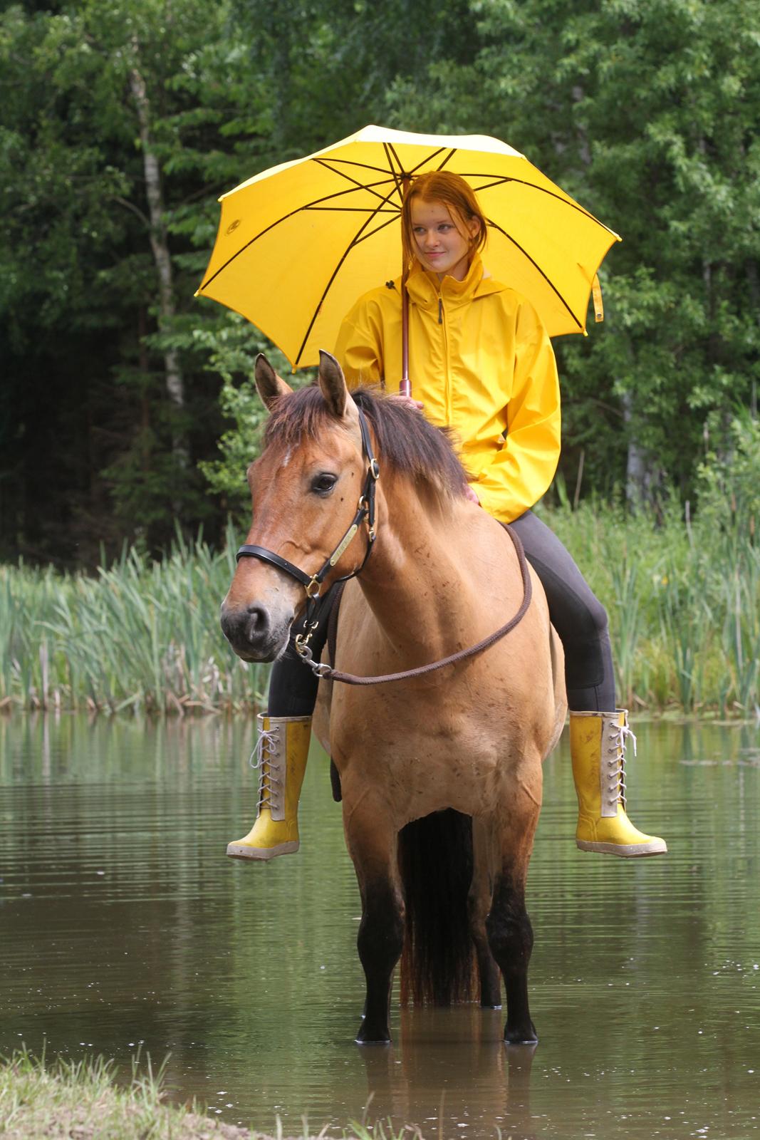 Anden særlig race Flicka | Thanks for the memories <3 - Taget af: https://www.facebook.com/FrejaSifFoto?fref=ts billede 20