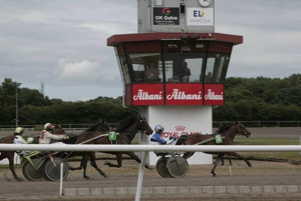 Traver Mccoy V K - mccoy og jeg i vores første løb hvor vi blev nr 2..:) billede 11