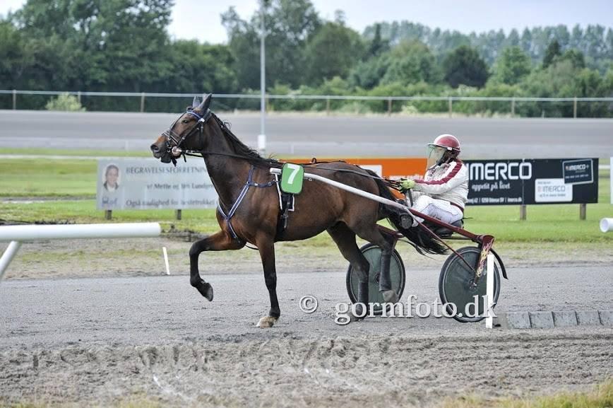 Traver Mccoy V K billede 12