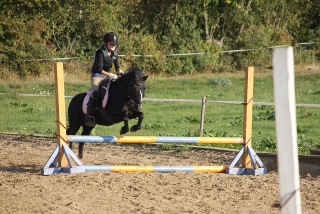 Anden særlig race FREJA billede 11