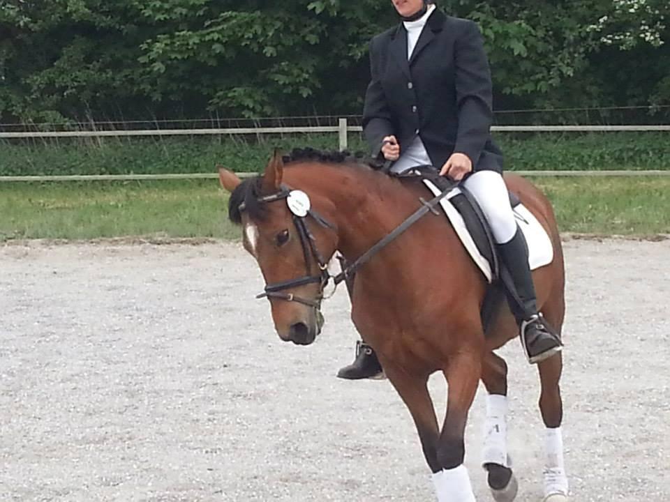 Anden særlig race Beauty billede 5