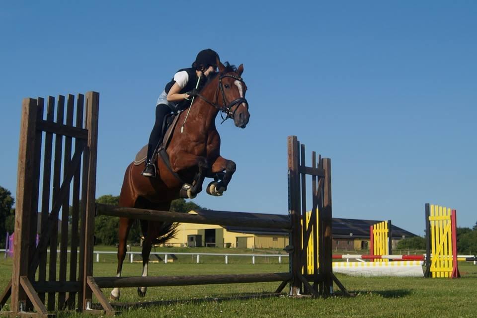 DSP Stald PR'S Paula *. Søsters .* Flomme.. xD - Paula og mig :D
Over 100-105 xD Kan ikke huske hvor højt det er.. :3 billede 1