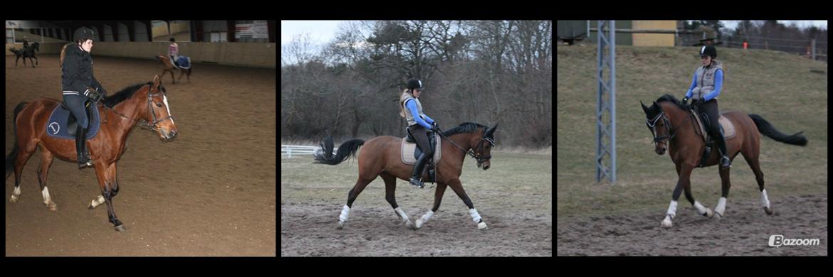 DSP Stald PR'S Paula *. Søsters .* Flomme.. xD - Fra 2012-2013.
STOR FORSKEL!:OO) billede 5