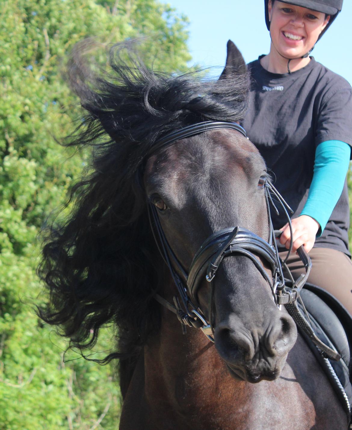 Frieser Zorro - Hææhæh!:) billede 15