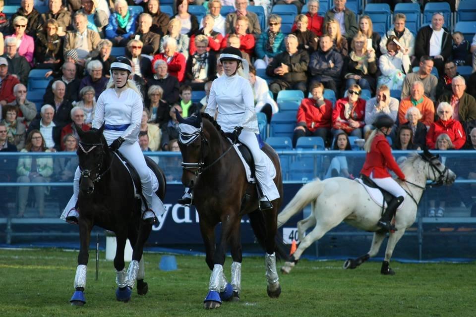 Hollandsk Varmblod Axel - Axel t.h. til opvisning i Pas de deux, ved Aabenraa Tattooen 2013.  billede 17