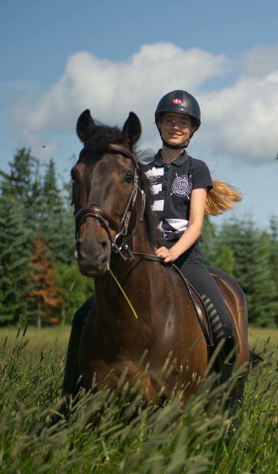 Irsk Sportspony Ebonys Star - Ridelejr 2013 billede 1