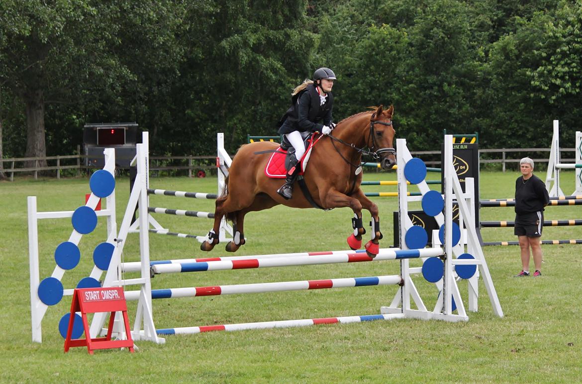 Dansk Varmblod - Sandagergård´s Rafaell - Omspringning i 90 cm. D4 HorseShow!<3 2 plads! billede 19