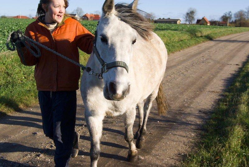 Anden særlig race Miss Dixie billede 6