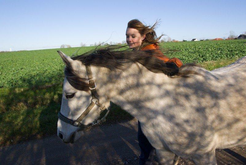 Anden særlig race Miss Dixie billede 3