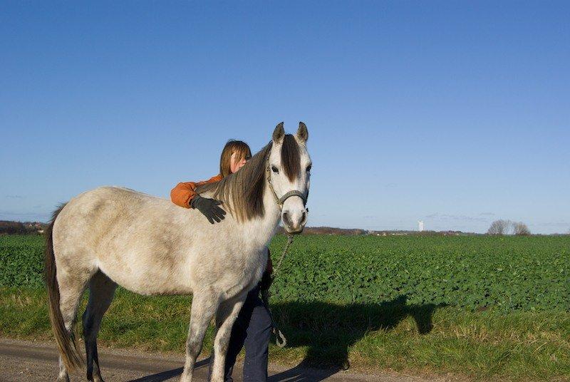 Anden særlig race Miss Dixie billede 7