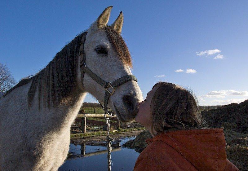 Anden særlig race Miss Dixie billede 4