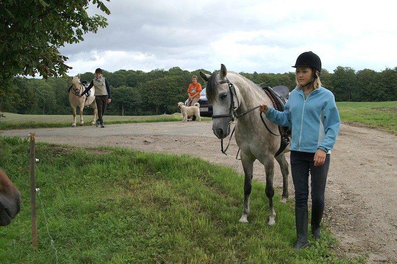 Anden særlig race Miss Dixie billede 2
