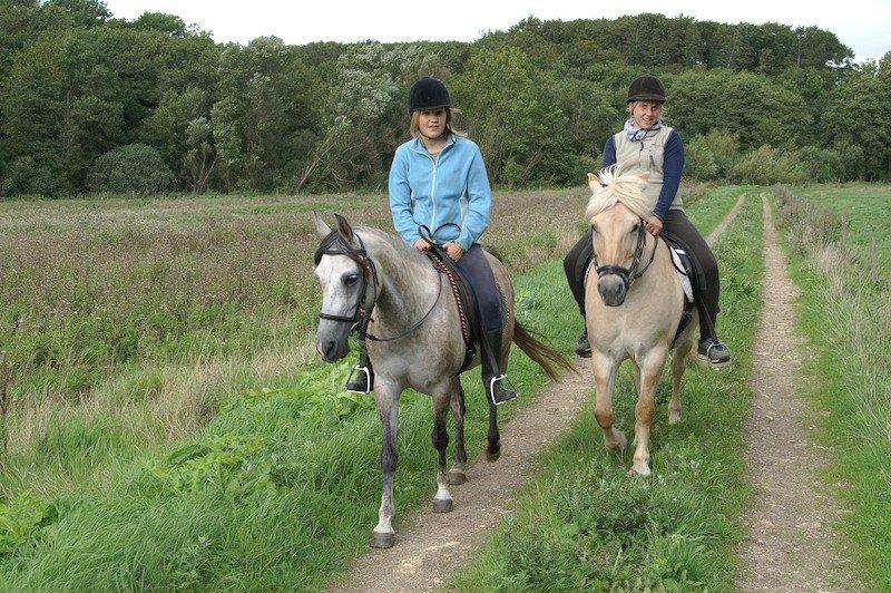 Anden særlig race Miss Dixie billede 10