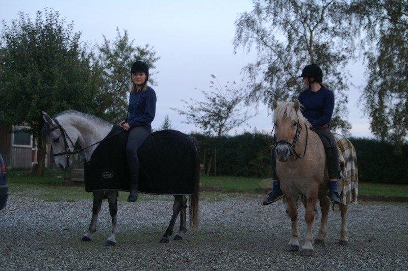 Anden særlig race Miss Dixie billede 11