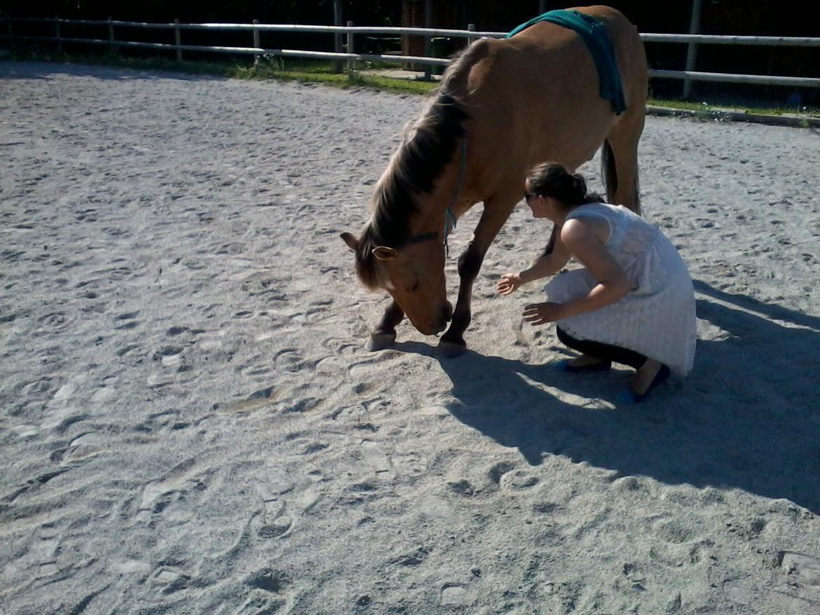 Anden særlig race Lukas billede 7