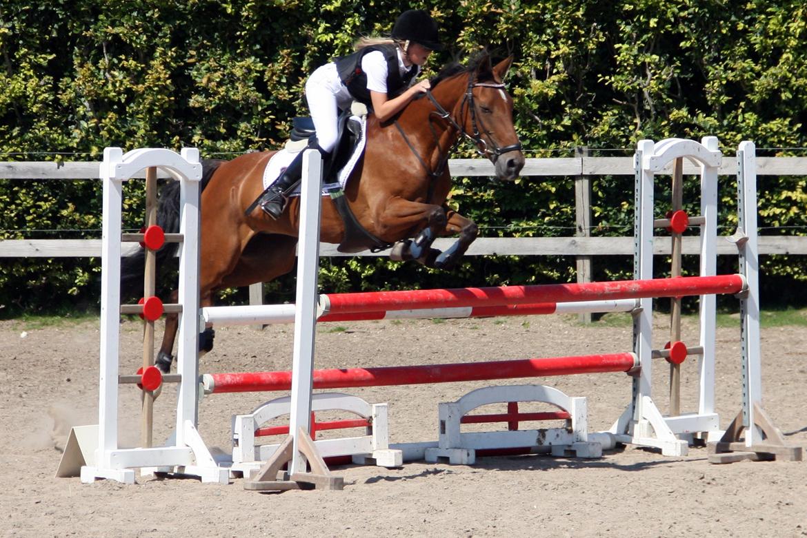 Irsk Sportspony Miss Acrobat (Smiley) <3 - Første stævne <3 over 1 meter !!<3 :) billede 1