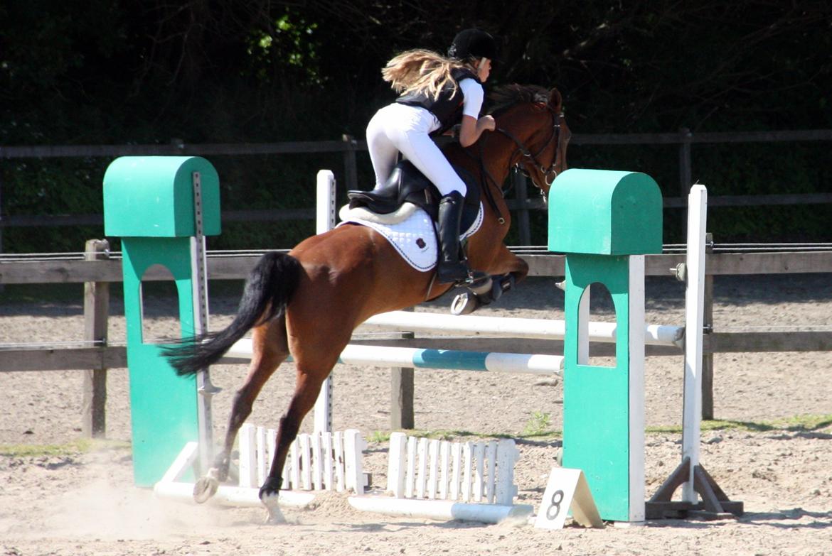 Irsk Sportspony Miss Acrobat (Smiley) <3 - Første stævne på ØRK her flyvende over 1 meter <3 billede 8