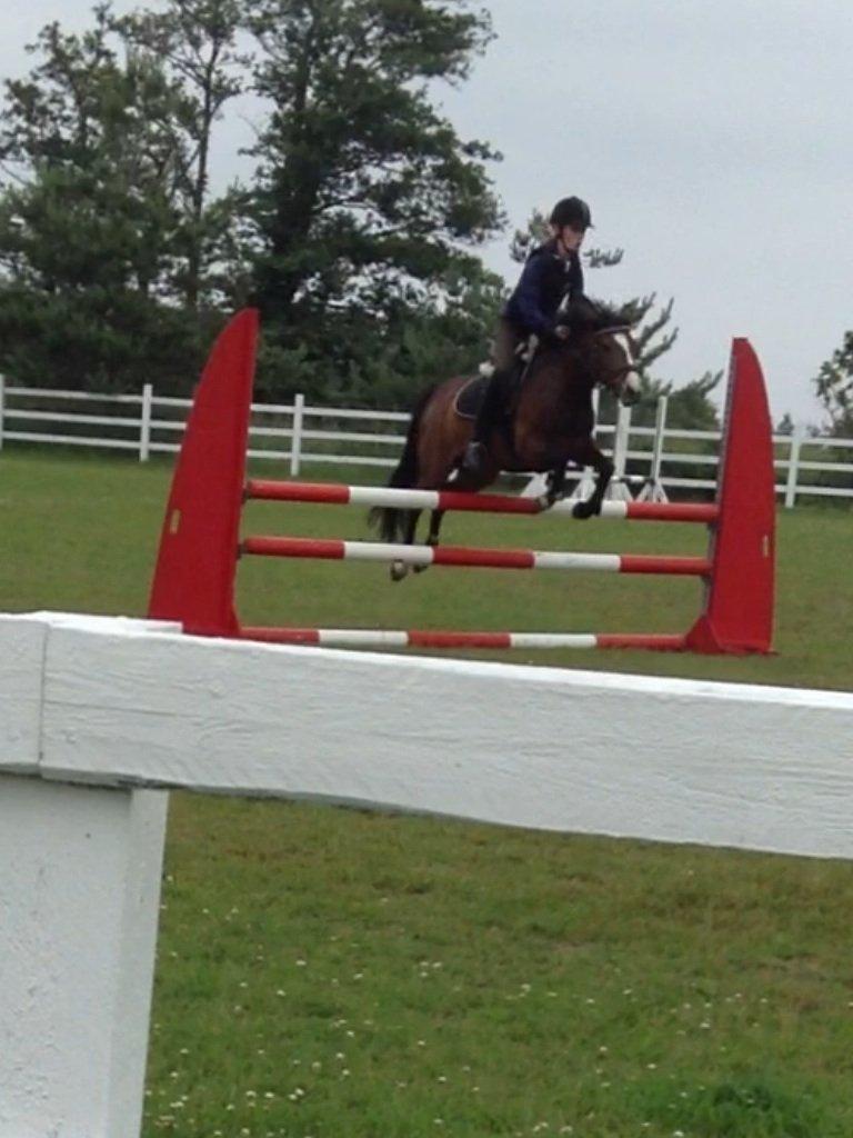 DSP Lundgaards Friday billede 15