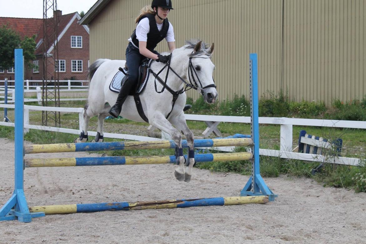 Sportsaraber (A) Miss Light - springkursus hos Jimmy!  billede 16