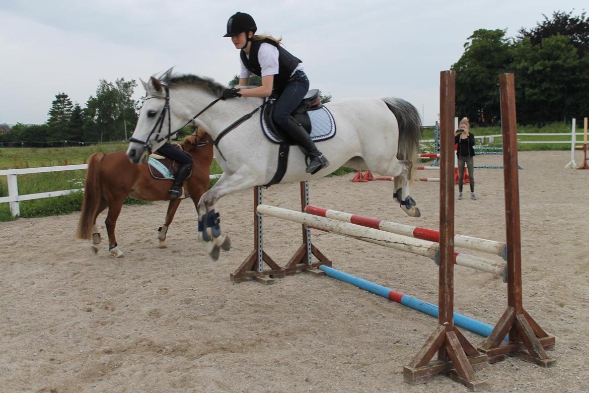 Sportsaraber (A) Miss Light billede 18