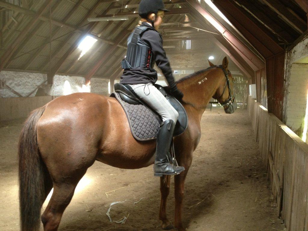 Traver Darling billede 2