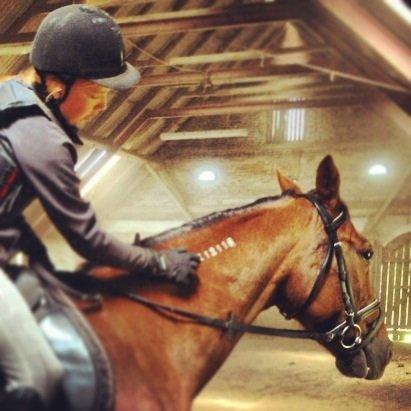 Traver Darling billede 3