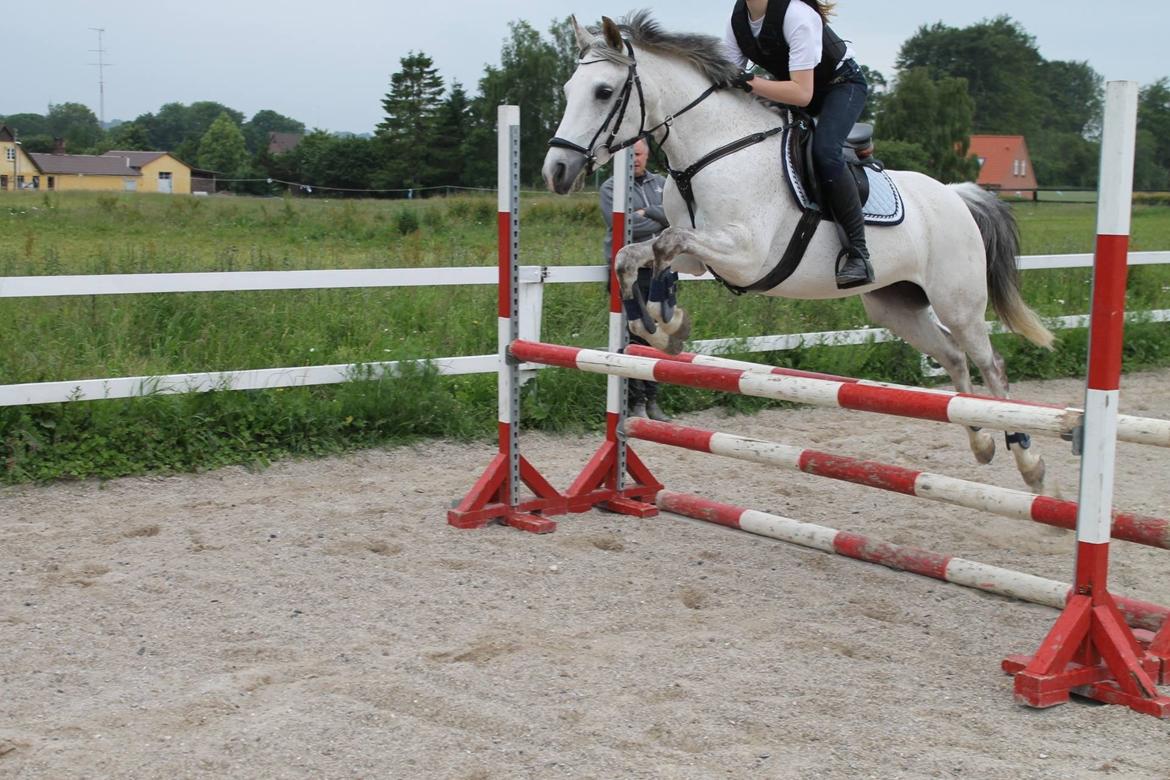 Sportsaraber (A) Miss Light billede 19