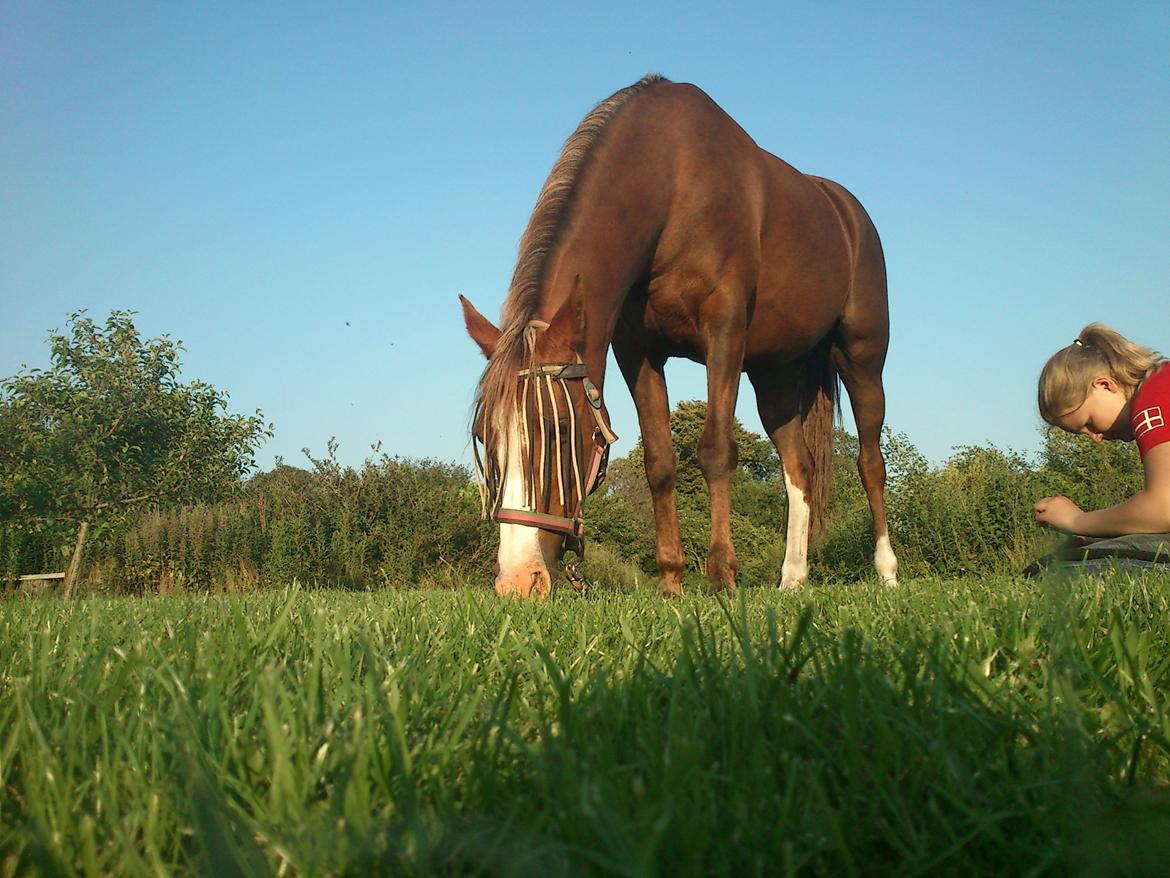 Anden særlig race Vestergårds La Foxy billede 15