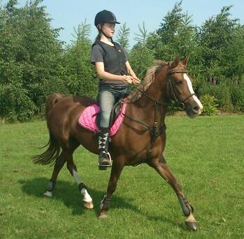 Anden særlig race Vestergårds La Foxy billede 16