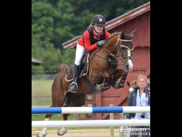 Anden særlig race Vestergårds La Foxy billede 4