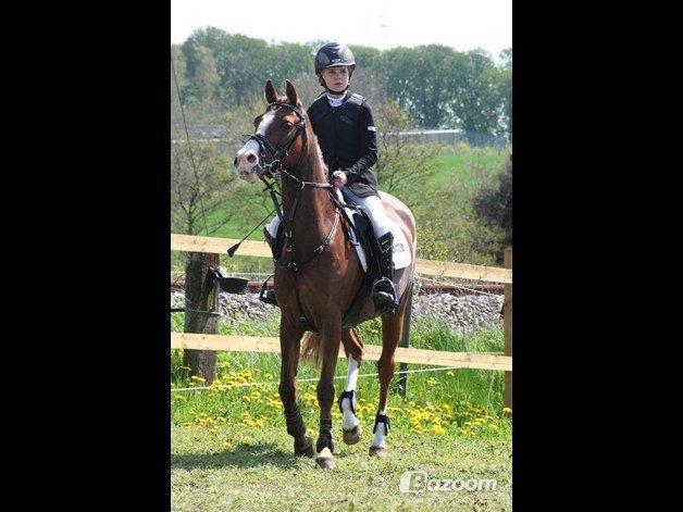 Anden særlig race Vestergårds La Foxy billede 6