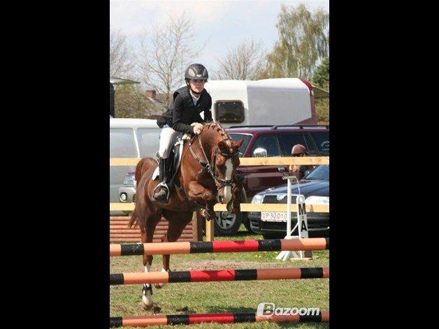 Anden særlig race Vestergårds La Foxy billede 1