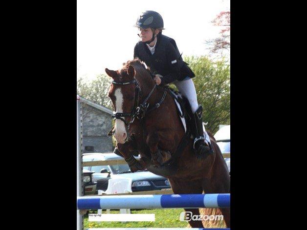 Anden særlig race Vestergårds La Foxy billede 8