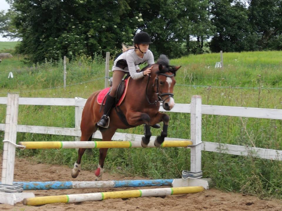 Anden særlig race Miranda *Muffin* - Sindbjeg ridelejr 2013.. fantastisk ridelejr! <3 foto Mille k billede 2