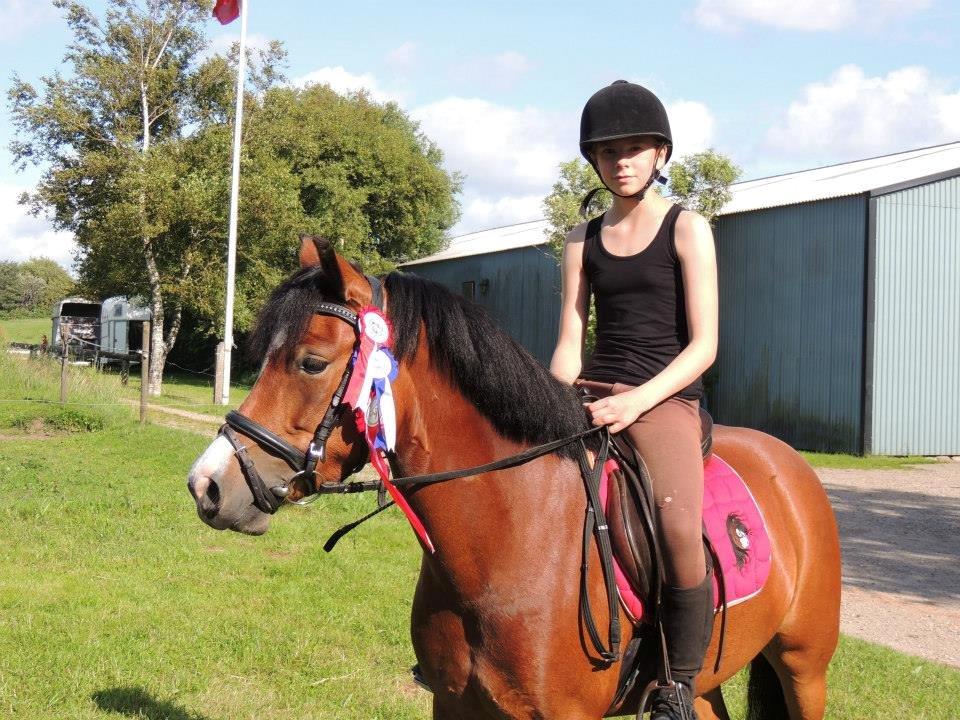 Anden særlig race Miranda *Muffin* - Sindbjeg ridelejr 2013. jeg vandt striglekonkurencen kom på anden plads i middelspring og første plads i sværspring<3 dygtige ponzie<3  foto: Mille k billede 18
